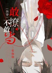 敢撩不敢當