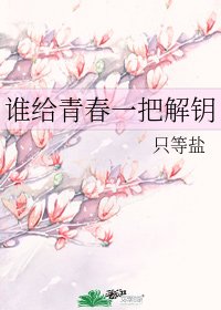 谁给青春一把解钥